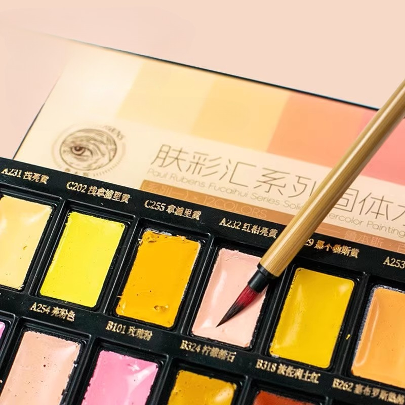 12color Skin Color Solid Water - Watercolor Paint Set Solid Pigment review and price