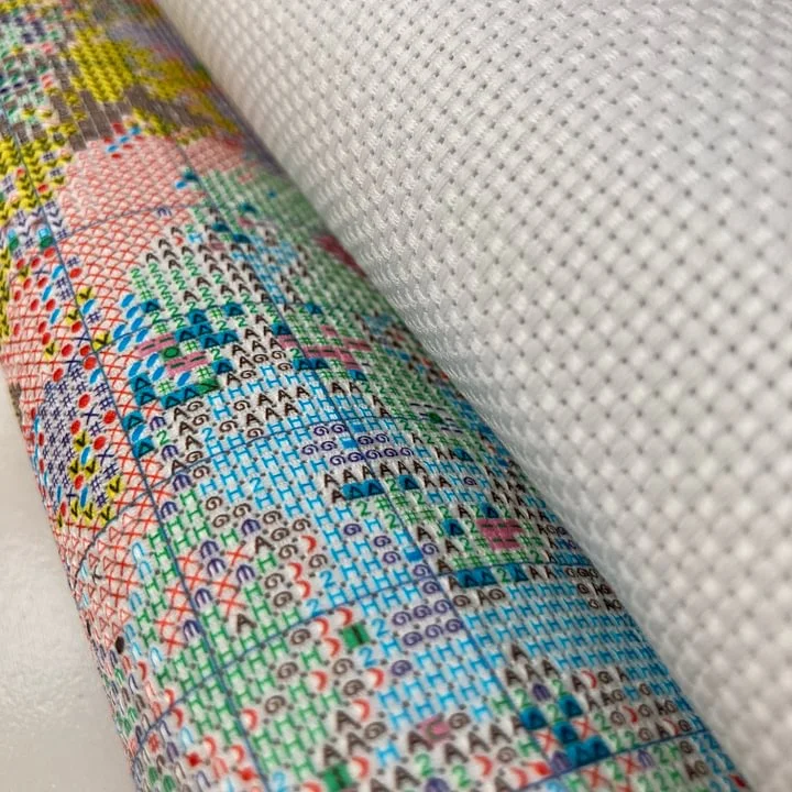 [CC318-Lemon Cat] | Beginner D - Cross Stitch Stamped Kits Beginners review and price